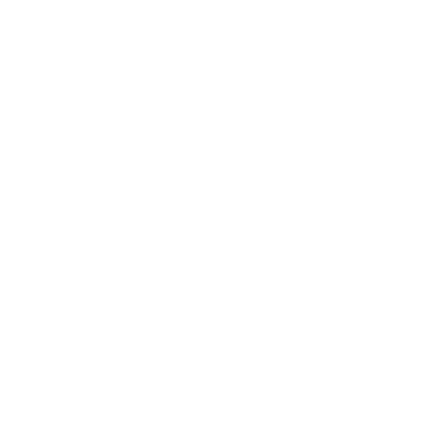 American Youth Soccer Organization